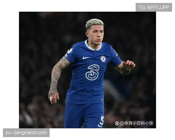 恩佐世界杯表现：新秀价值与含金量如何评估？